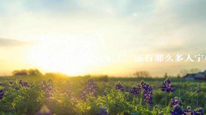 为什么都 2025 年了，还有那么多人宁可双持，也不愿意放弃安卓或非安卓手机？